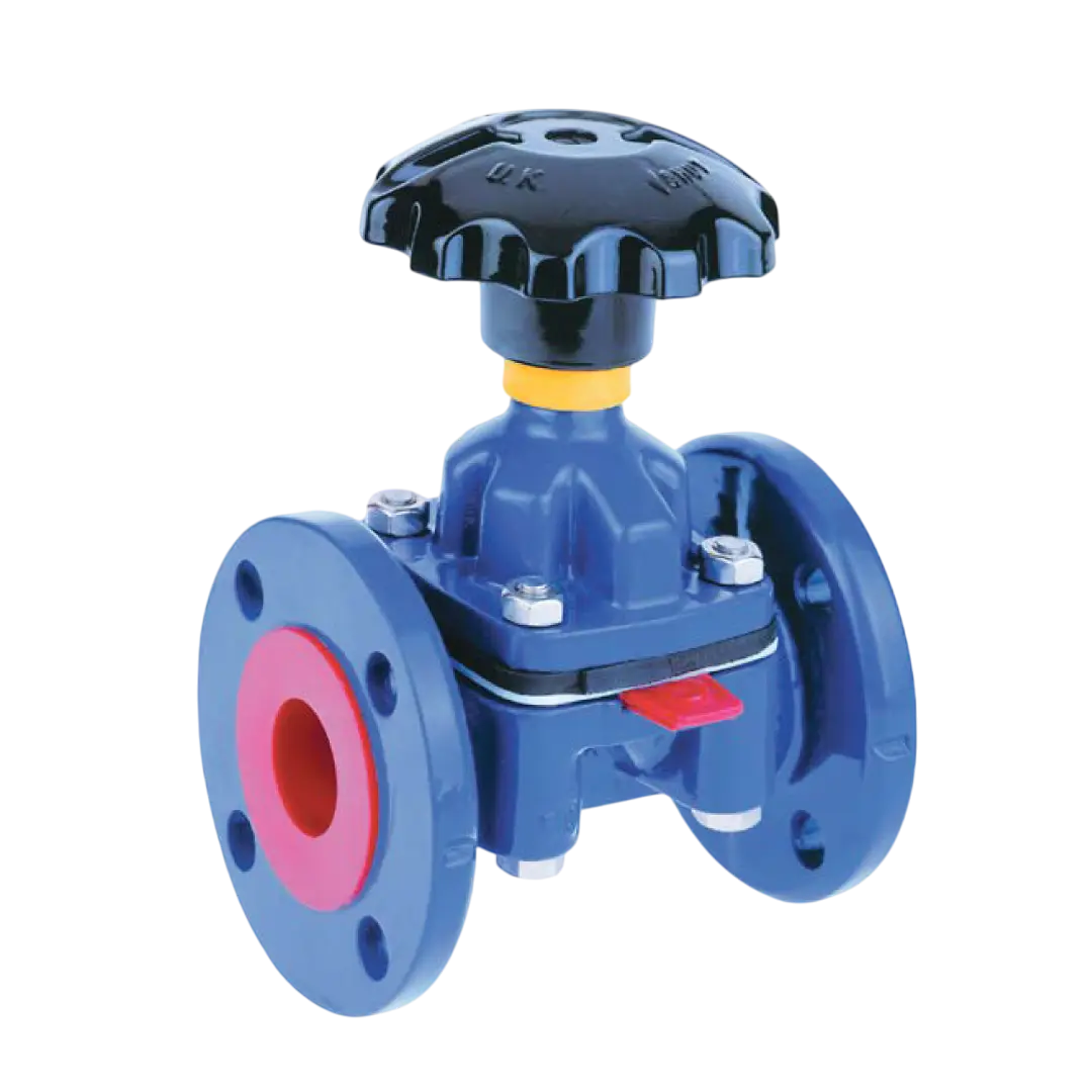 1-CPE-SAUNDERS-IDV-60PG-BU-2